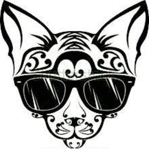 Meet your Posher, Thinh